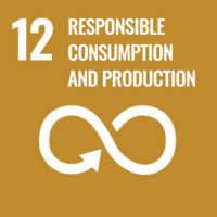 Sustainable Development Goal 12 - Responsible consumption and production Sustainable Development Goal 12 - Responsible consumption and production