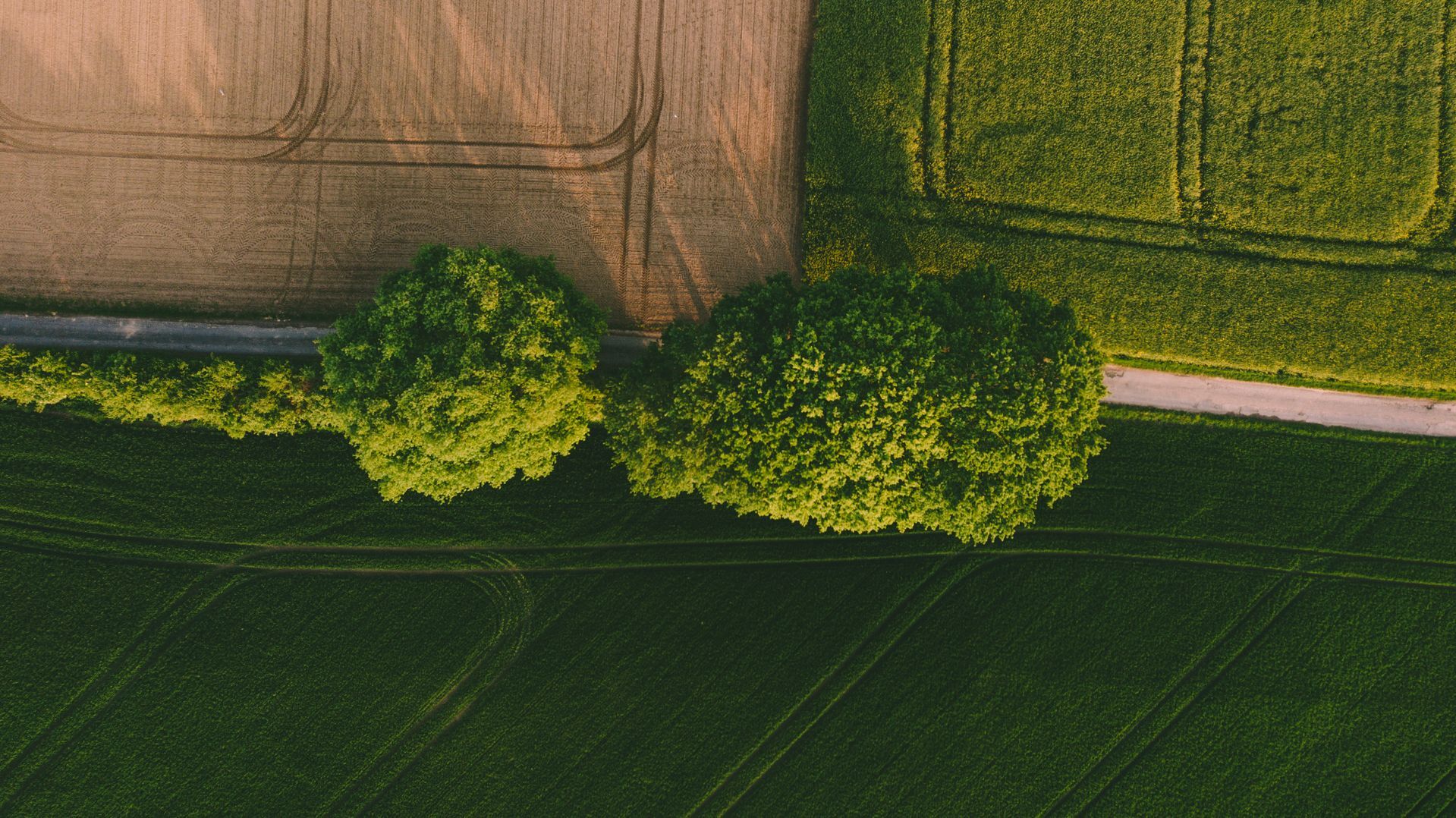 Aerial photo showcasing lush green fields and trees during the day.